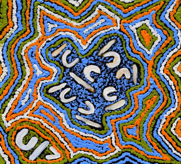 Sonia Mitchell painting Aboriginal artist Songlines Darwin