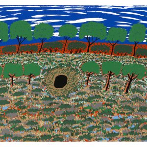 Waterhole limited edition print by Jimmy Pike available at Songlines gallery Darwin