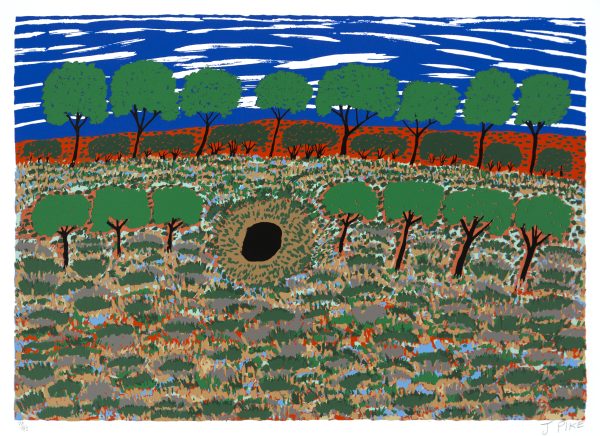 Waterhole limited edition print by Jimmy Pike available at Songlines gallery Darwin
