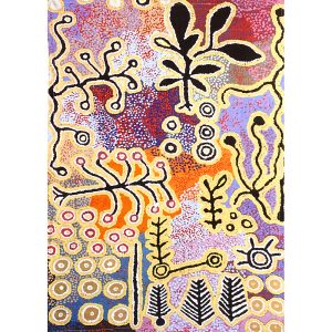Paddy Japaljarri Stewart Aboriginal artist Warlukurlangu Songlines Darwin