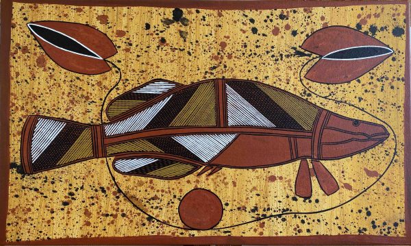 Allan Namaniyuo Aboriginal artist barramundi Songlines Darwin