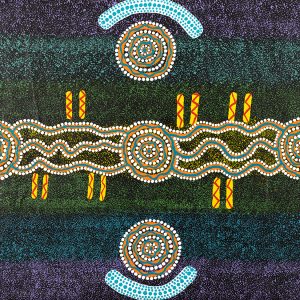 Zeza Nampijinpa Egan Aboriginal artist water dreaming Songlines Darwin
