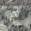 Brumbies in the Night by Diane Lucas & Colwyn Campbell