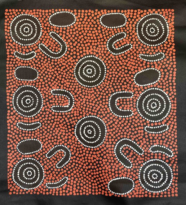 Cynthia Johnson painting dots desert Warlpiri Yuendumu Aboriginal Songlines Darwin