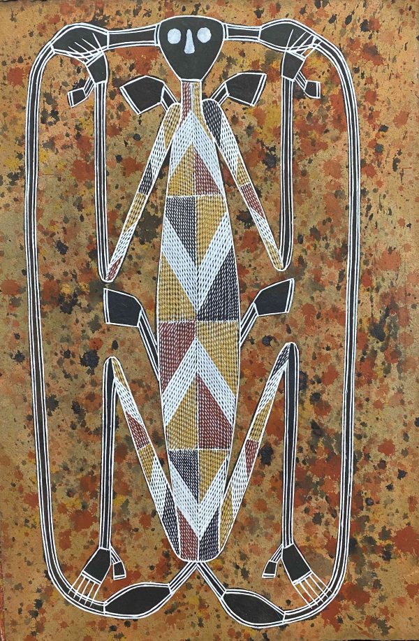 Lawrence Nganjmirra Namarrkon Aboriginal art Songlines Darwin