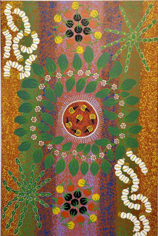 Zeza Nampijinpa Egan Bush Tucker Foods painting Aboriginal art Songlines Darwin