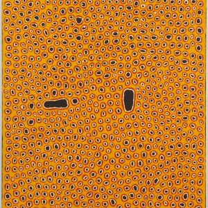 Yuyuya Nampitjinpa Aboriginal Papunya Artist Art Songlines Darwin